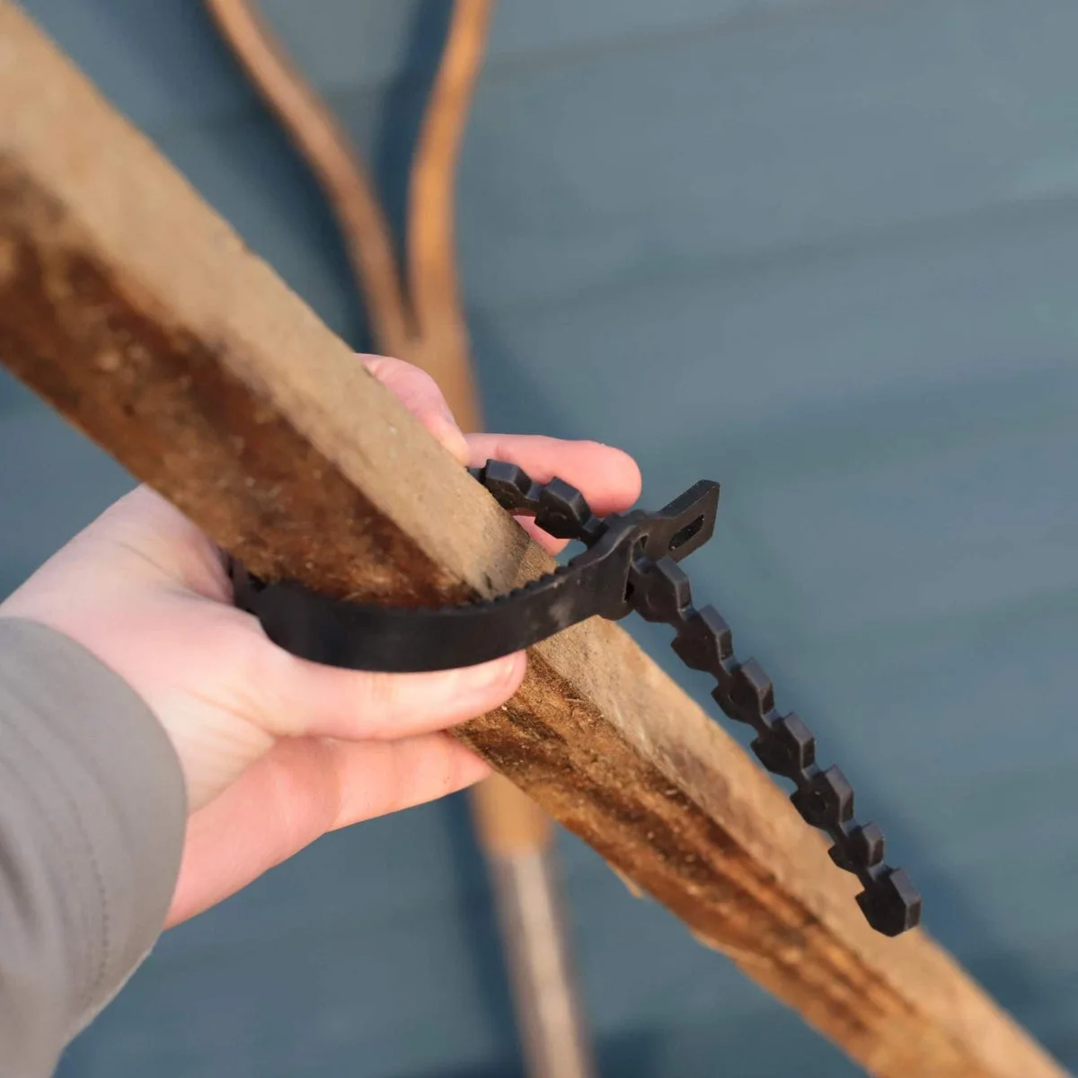 figure-of-eight plant tie