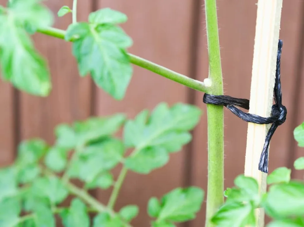 hemp garden twine for plants