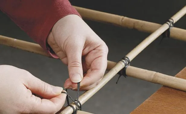 apex lashing knot bamboo canes
