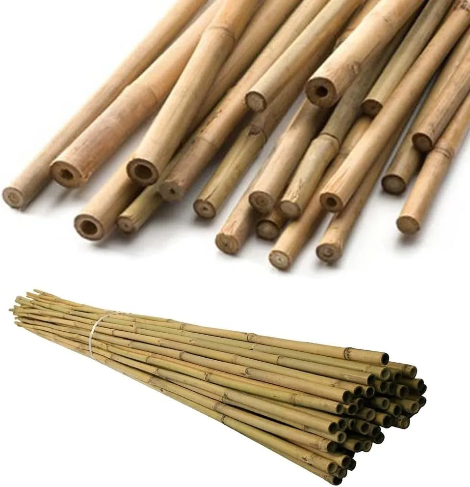 bamboo cane bundling twine