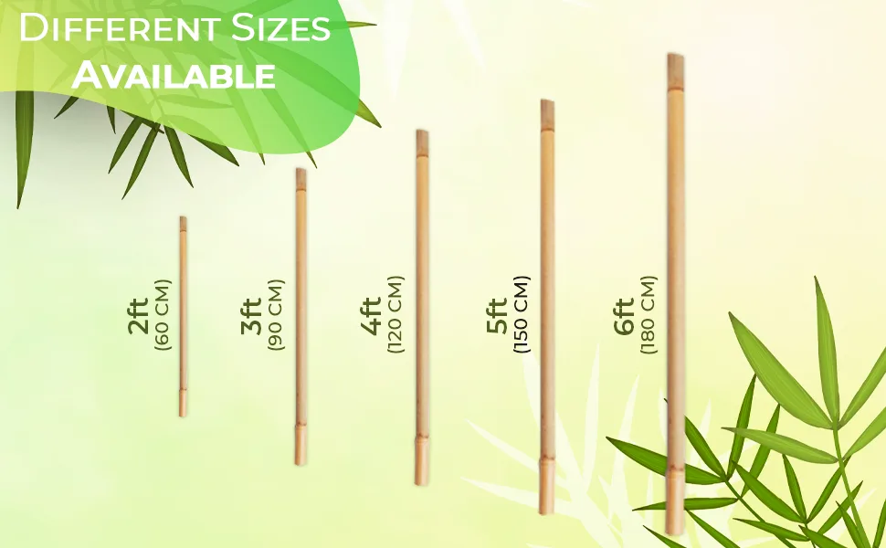 bamboo cane sizes chart