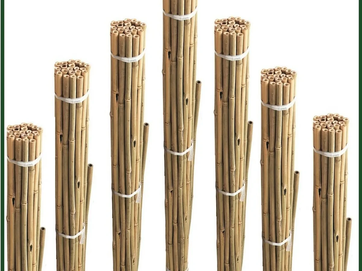 bamboo cane sizes explained