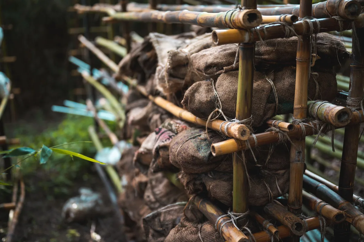 bamboo wigwam frame garden