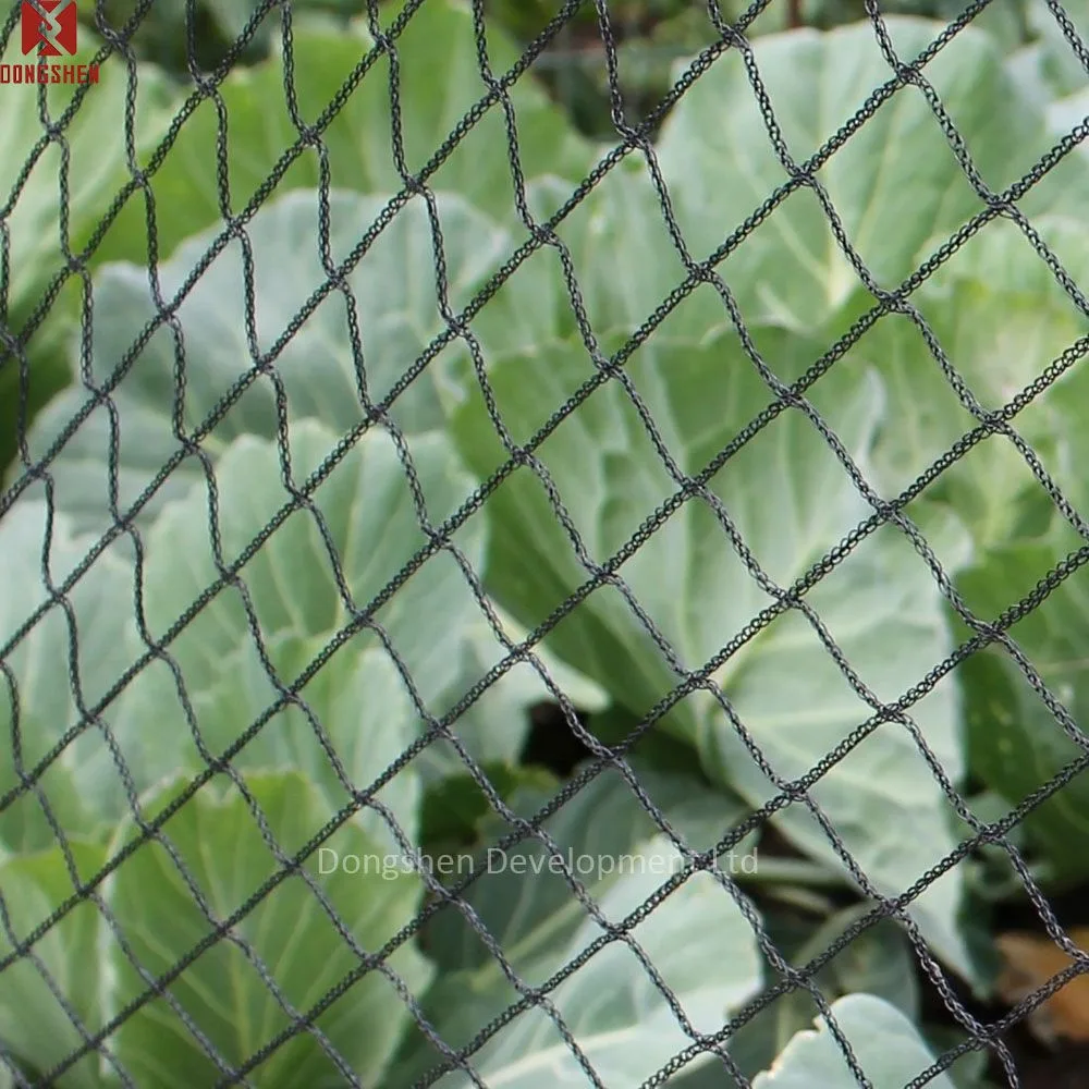 bird netting mesh size close-up