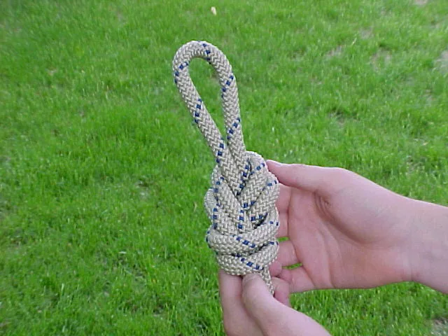 figure-eight knot plant stem trellis