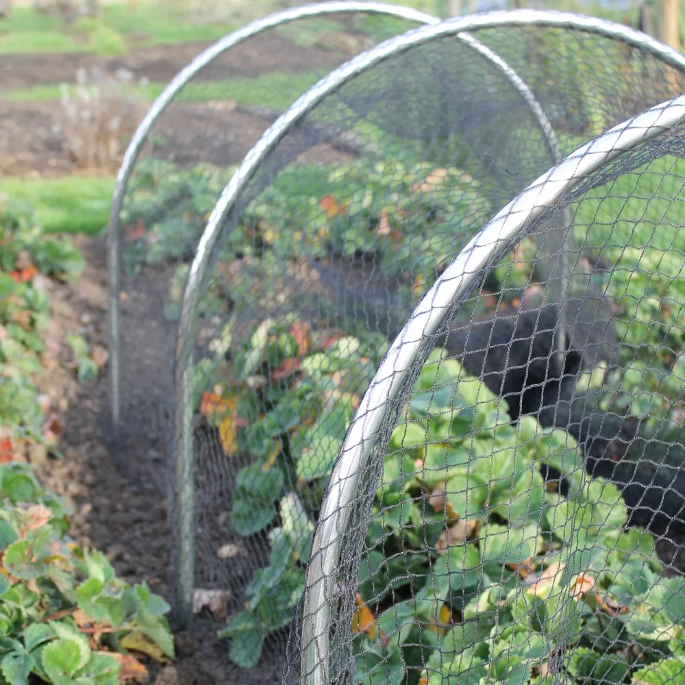 garden hoop frame netting setup