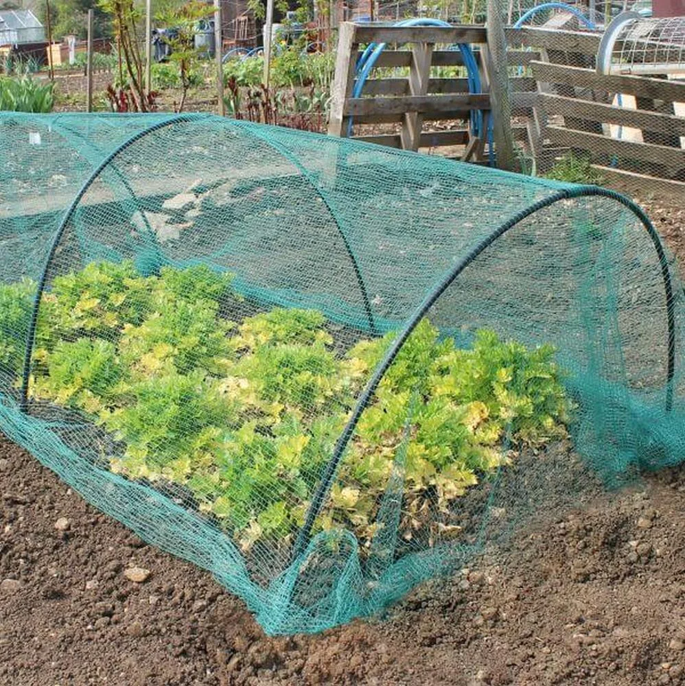 hoop tunnel garden netting