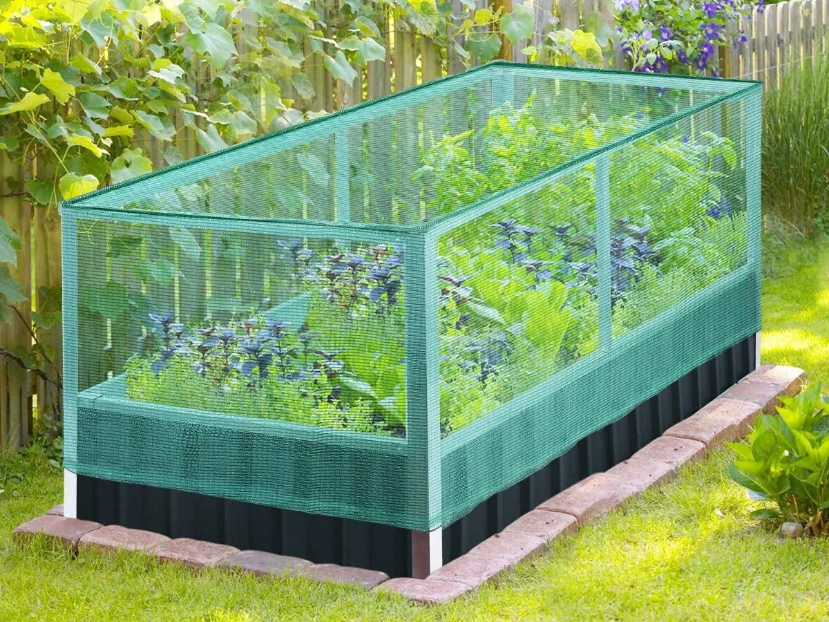 how to stop birds eating crops with netting