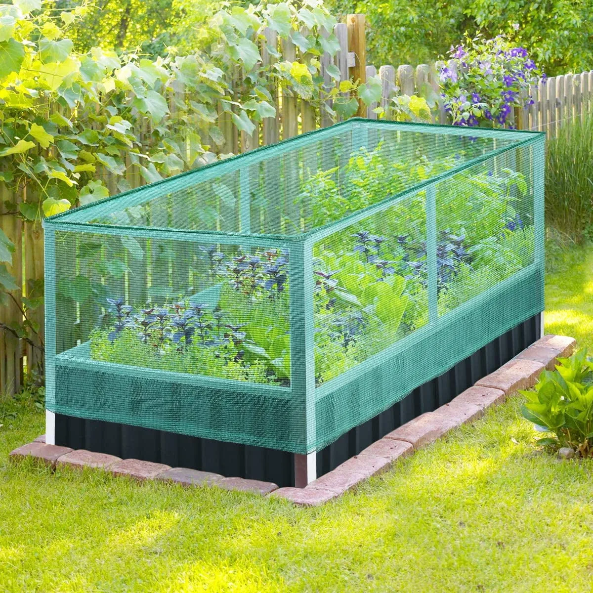 how to stop birds eating crops with netting