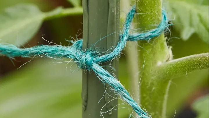 How to Stop Garden Rope From Rotting Fast