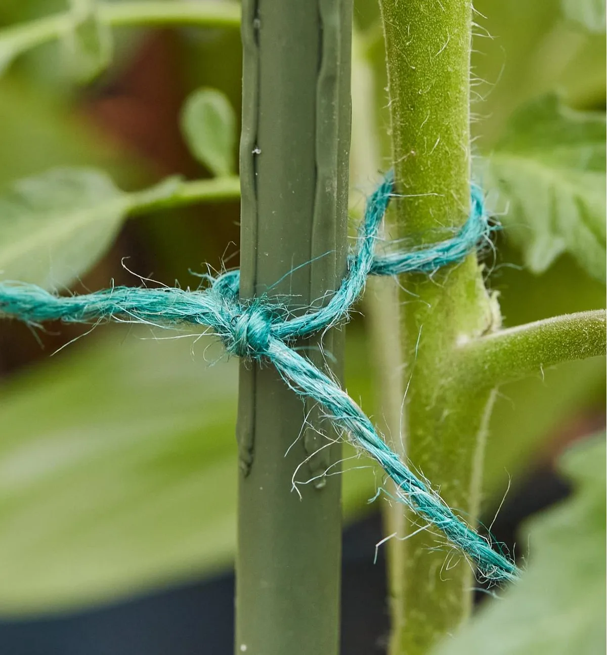 how to stop garden rope rotting