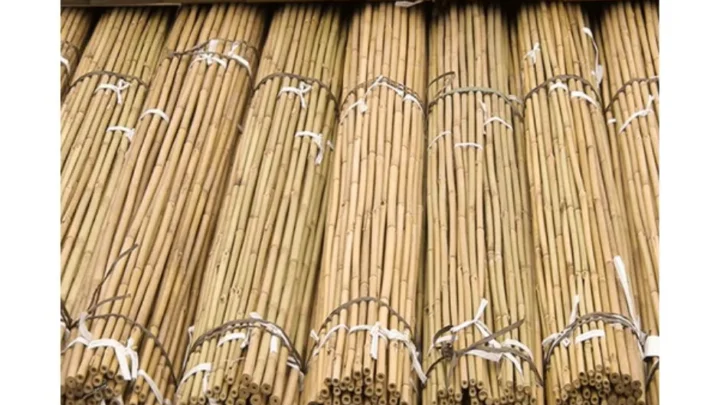 How to Store Bamboo Canes Over Winter Without Damage