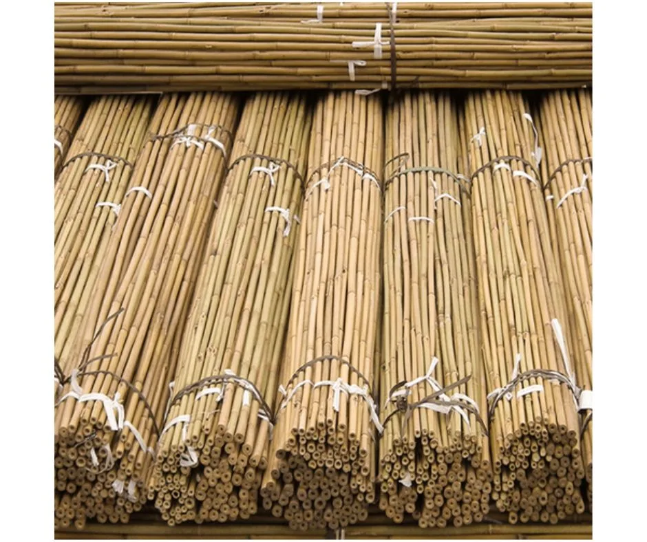 how to store bamboo canes over winter