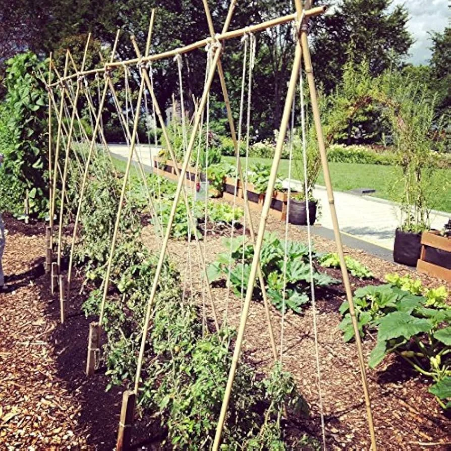 how to use garden rope for climbing plants
