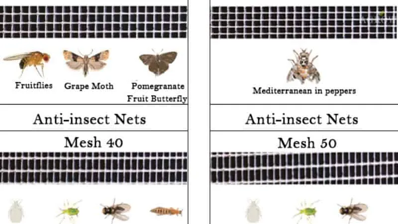 insect mesh aperture size